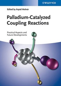 Palladium-Catalyzed Coupling Reactions: Practical Aspects and Future Developments
