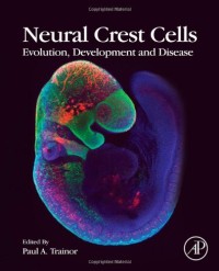 Neural Crest Cells: Evolution, Development and Disease