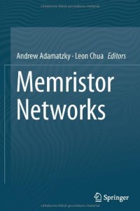 Memristor Networks