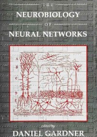 Neurobiology of Neural Networks (Computational Neuroscience)