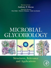 Microbial Glycobiology: Structures, Relevance and Applications