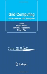 Grid Computing: Achievements and Prospects