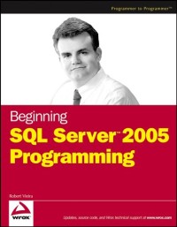 Beginning SQL Server2005 Programming  (Programmer to Programmer)