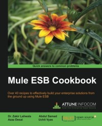 Mule ESB Cookbook