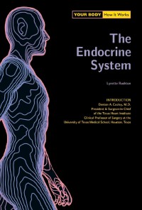 Endocrine System (Your Body: How It Works)