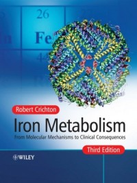 Iron Metabolism: From Molecular Mechanisms to Clinical Consequences