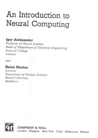 Introduction to Neural Computing